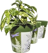 Hum Flowerpots Set of 3 Green Dragonflies 22cm Indoor Outdoor Planters view 7