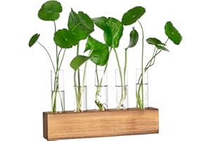 YIBOT Propagation Stations, Plant Terrarium with Wooden Stand, Birthday Gardening Gifts for Women Mom Plant Lovers,Home Office Desk Decor, 5 Glass Test Tubes Vases