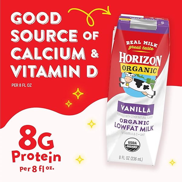 HORIZON ORGANIC SHELF STABLE 1% LOWFAT DHA OMEGA-3 CHOCOLATE MILK BOXES, 8 FL OZ, 18 COUNT – 8G PROTEIN PER SERVING, USDA ORGANIC UHT FROM PASTURE-RAISED COWS, READY TO DRINK FOR LUNCHBOX, TRAVEL, OR ON-THE-GO, NO REFRIGERATION NEEDED