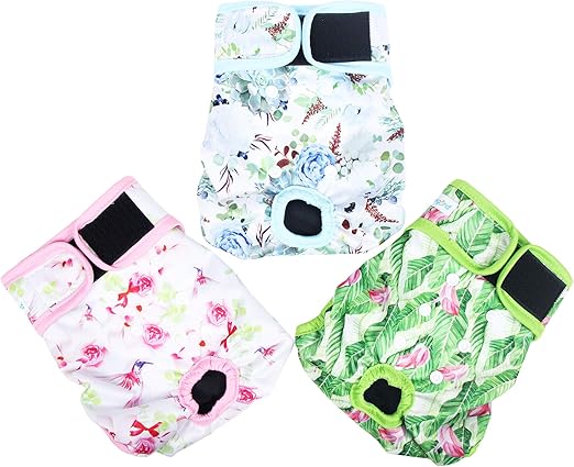 paw legend dog diapers