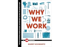 Why We Work (TED Books)