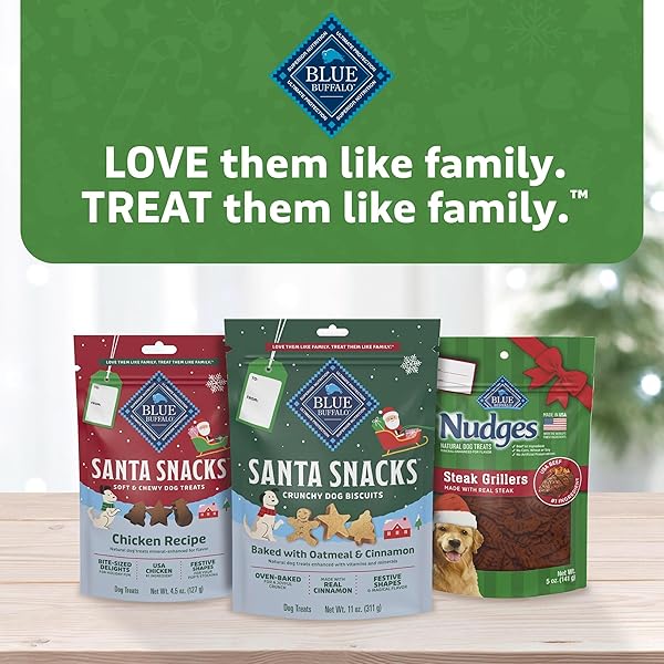 BLUE BUFFALO SANTA SNACKS CRUNCHY DOG BISCUITS, OVEN-BAKED WITH NATURAL INGREDIENTS, OATMEAL & CINNAMON, 11-OZ BAG