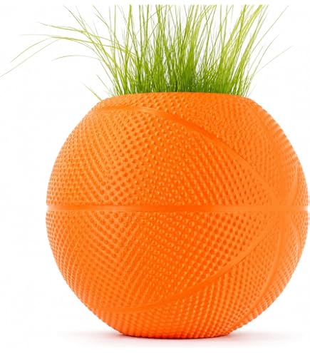 Amazon.com: Basketball Planter/Centerpiece for Room Decor and Sports Events  : Patio, Lawn & Garden