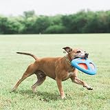 Chuckit! Fetch Flight - 1 Piece Dog Toy EZ Grip Visible Colors view 3