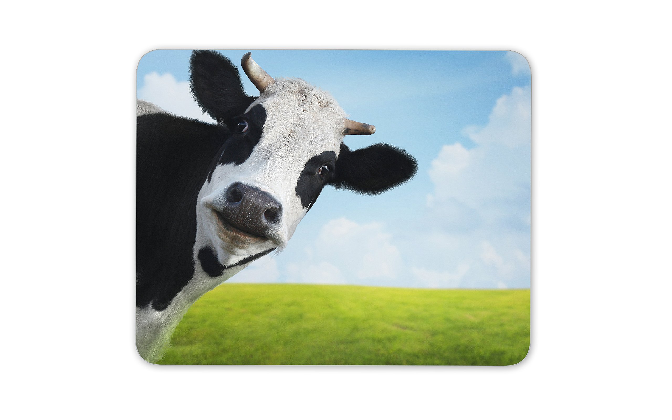 Black & White Cow Mouse Mat Pad - Funny Cheeky Animal Fun PC Computer #8273