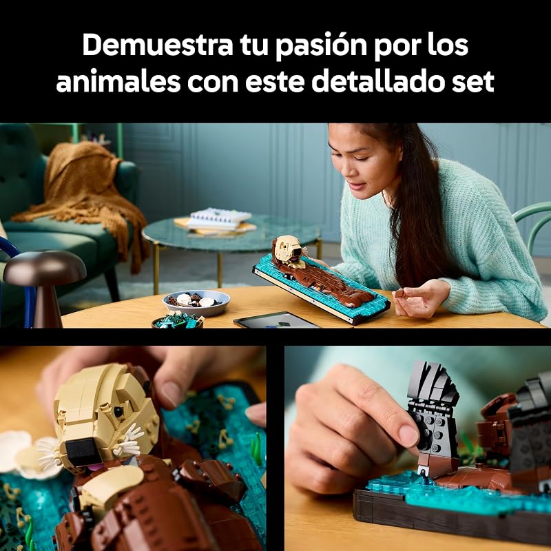 Ideias de Lontra-Marinha Flutuantes 21366