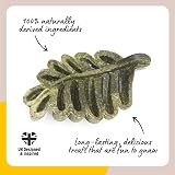 Rosewood Nibble Leaves Veggie Treats for Rabbits & Small Animals 6pc view 3