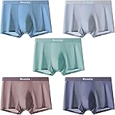 Ice Silk Mesh Mens Underwear - Seamless Trunks for Men - Breathable Boxer Briefs - Supersoft Moisture Wicking Trunks - 5-Pack