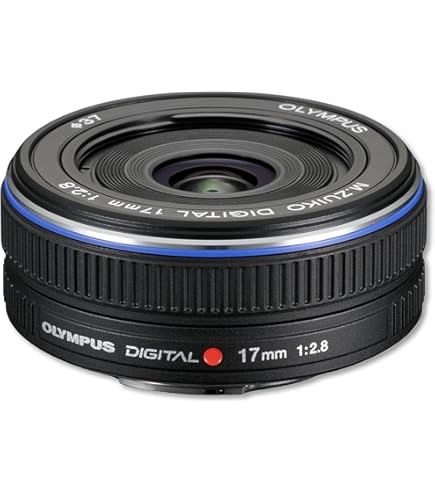 Amazon.com : OM SYSTEM OLYMPUS 25mm f/2.8 Pancake Lens for Olympus