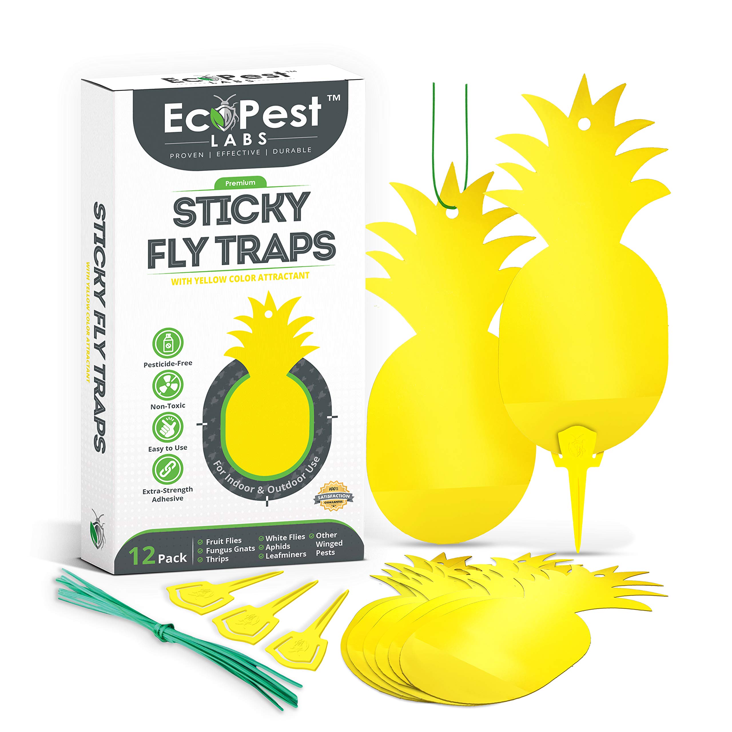 Buy Sticky Fruit Fly and Gnat Traps 12 Pack Yellow Fly Paper Trap