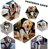 PUMYPOREITY Black & White Dog Tuxedo Outfit with Bow Tie Bandana Set view 7