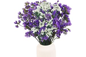 FAICOIA Dried Flowers Bundles Forget Me Not with Stems Natural Dried Flowers Purple and White Dried Flowers Bouquet for Floral Arrangements Wedding Party DIY Resin Vase Home Decoration