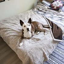 king size pup protector