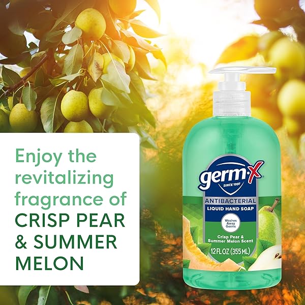 GERM-X ANTIBACTERIAL HAND SOAP, 12 OZ (PACK 4), MOISTURIZING LIQUID HAND WASH FOR KITCHEN OR BATHROOM, PH BALANCED & DERMATOLOGIST TESTED, CRISP PEAR & SUMMER MELON SCENT, PUMP BOTTLE