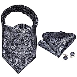 Ailisus Cravat Tie and Lapel Pin Set Mens Grey