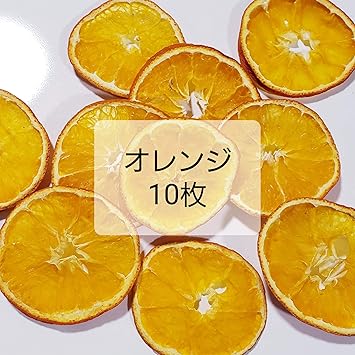 Amazon オレンジ ドライ花材セット10枚入り 果物