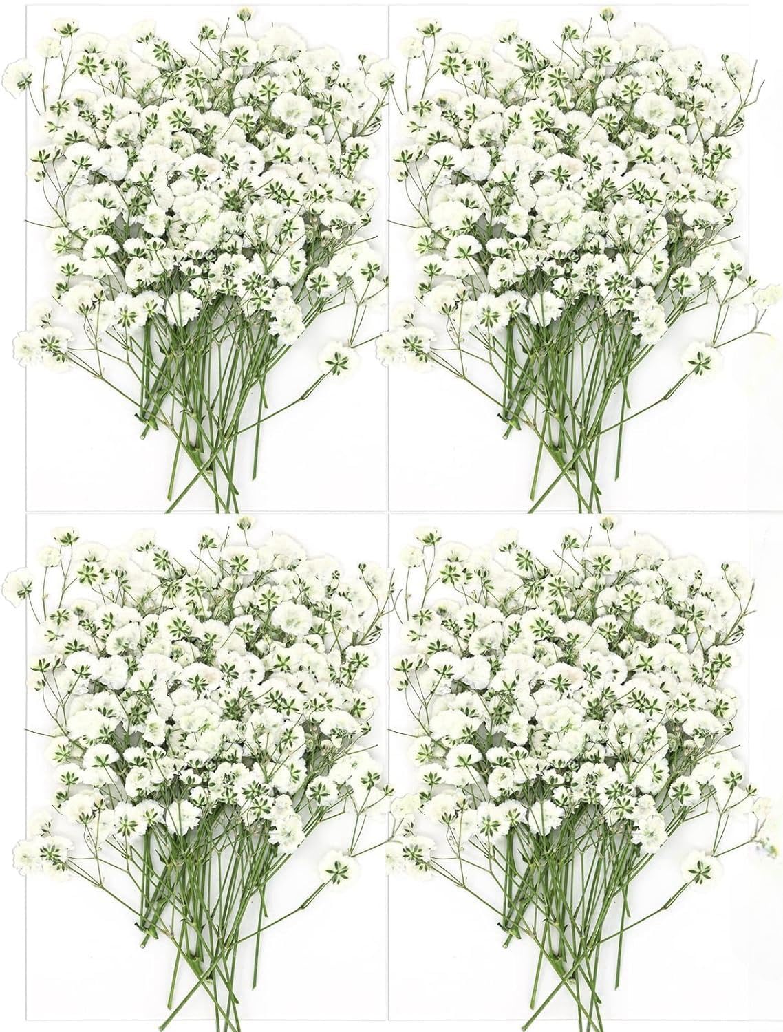 100PCS Dried Pressed Baby's Breath Flowers, Real Natural White Dried Gypsophila Bouquet Pressed Flowers for Resin Jewelry Nail Art Crafts DIY Making Wedding Cards Home Party Decorations