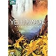 Yellowstone: Battle for Life (SD) [DVD]
