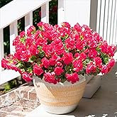 HyeFlora Artificial Faux Outdoor Flowers Plants for Spring Summer Decoration, Fake Silk Hotpink Camellia UV Resistant Look Real for Planter Outside Front Door Porch Patio Balcony, 3 Large Bundles