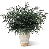 Lofeijxufj 36 Inch Real Touch Norfolk Pine Branches, 4 Pcs Artificial Faux Cedar Pine Greenery Stems for DIY Christmas Wreath Garland Vase Filler Home Garden Indoor Outdoor Holiday Party Decorations