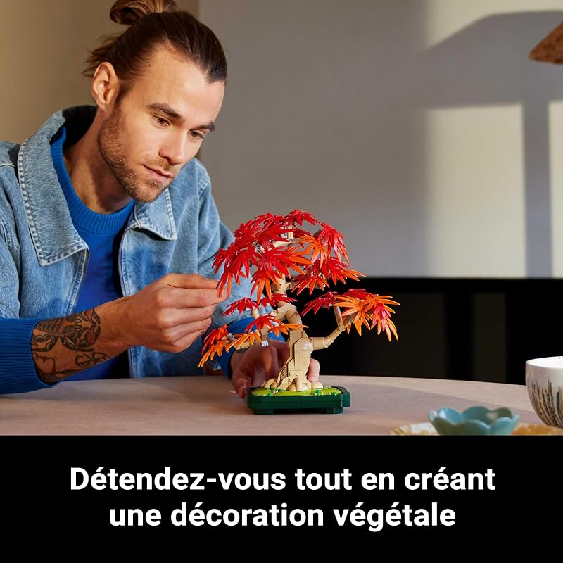 Botanicals Bonsaï d’érable Rouge du Japon 10348