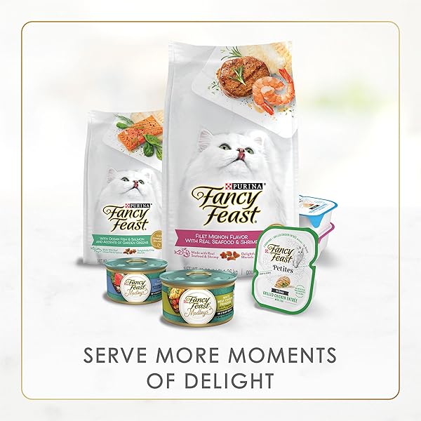 PURINA FANCY FEAST SENIOR WET CAT FOOD 7 YEARS PLUS BEEF FEAST PATE – (PACK OF 24) 3 OZ. CANS