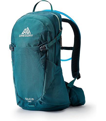 Amazon.com : Gregory Salvo 8L H2O Unisex Day Hiking