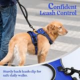 rabbitgoo Large Dog Harness No Pull Reflective Adjustable Blue XL view 7
