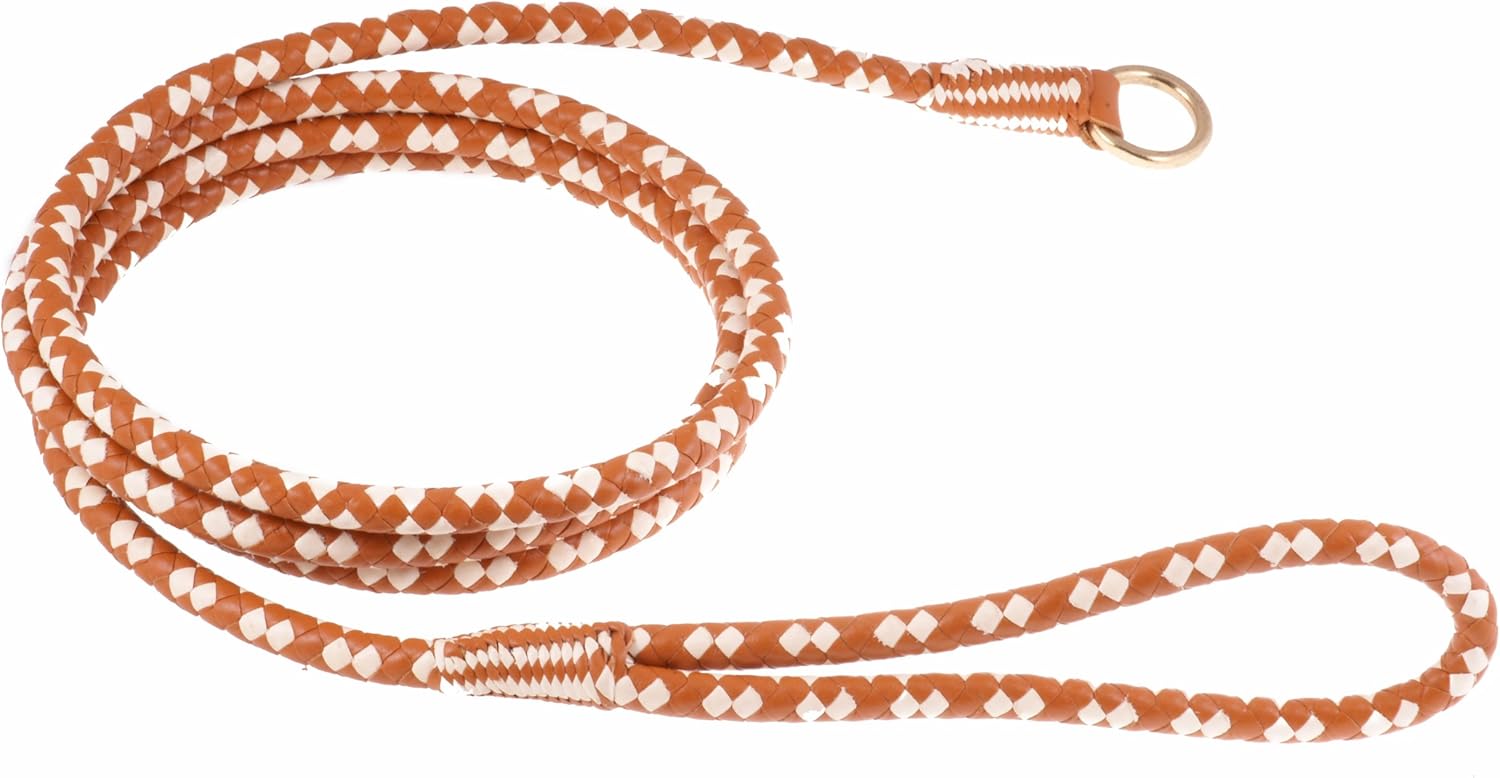 Thick slip leads for dogs Clearance