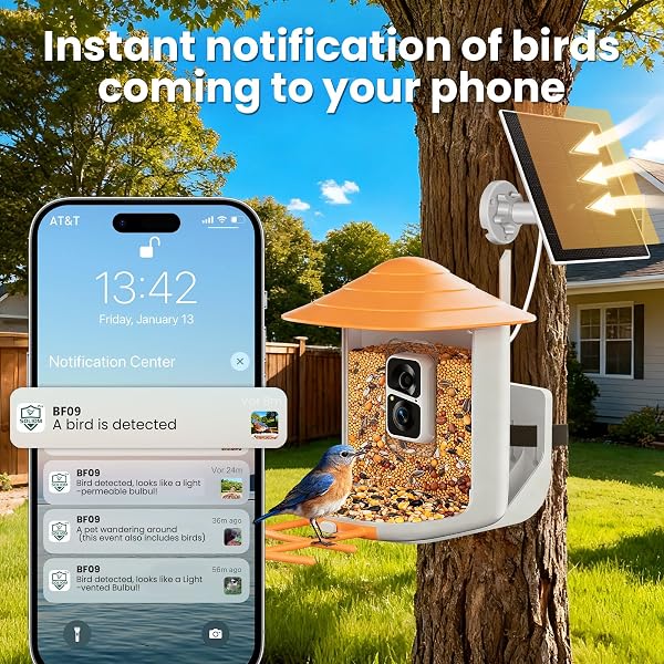 SOLIOM BF09 BIRD FEEDER WITH CAMERA WIRELESS OUTDOOR,SMART FEEDER CAMERA WITH AI IDENTIFY SPECIES,BACKYARD WATCHING GIFT,AUTO RECORD BIRD VIDEO,INSTANT NOTIFICATIONS, US