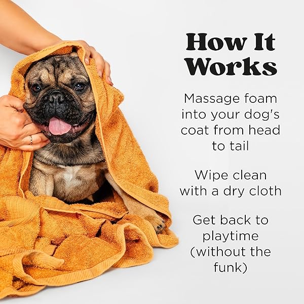 POO-POURRI RINSE-FREE DEODORIZING DRY SHAMPOO FOR DOGS & CATS – MOISTURIZING SKIN & COAT SOOTHING FORMULA – PLANT BASED INGREDIENTS – PINEAPPLE, JASMINE & PEAR – NO RINSE FOAM SHAMPOO FOR PET ODOR