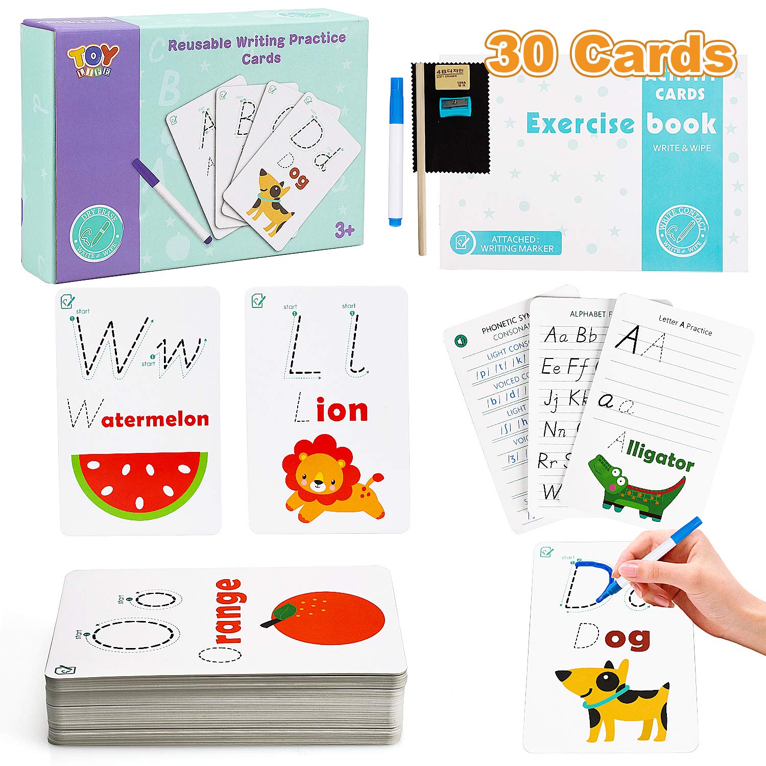 Buy TOY Life Dry Erase Alphabet Flash Cards with ABC Flash Cards for