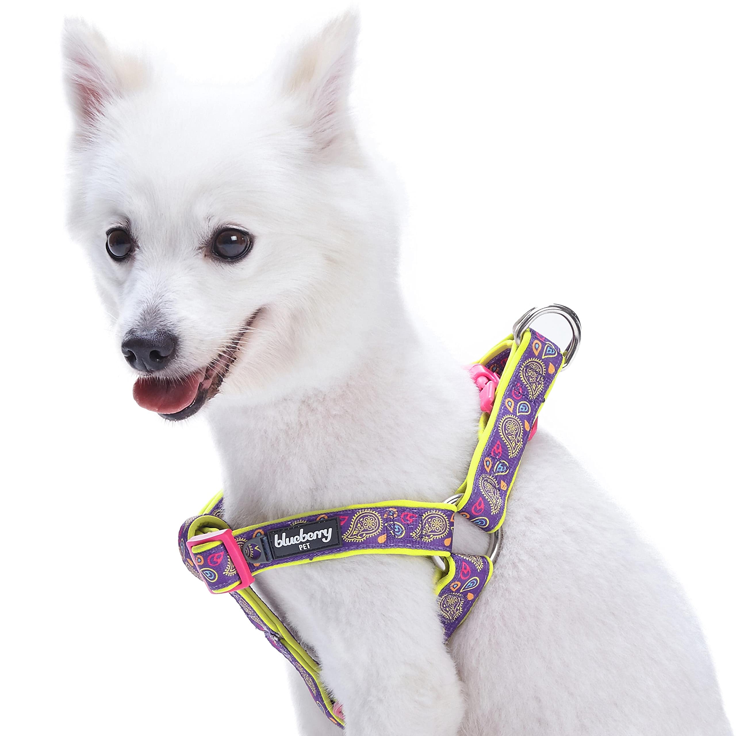 Blueberry Pet New Soft & Comfy Step-in Paisley Flower Print Dog Harness, Chest Girth 51cm-66cm, Dark Orchid, Medium, Adjustable Harnesses for Dogs