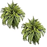 Fake Ferns, Realistic Large Artificial Bush Plants, 2 Artificial Boston Ferns with 28 Fronds for Outdoors Planter Indoor Home Garden Porch Decor