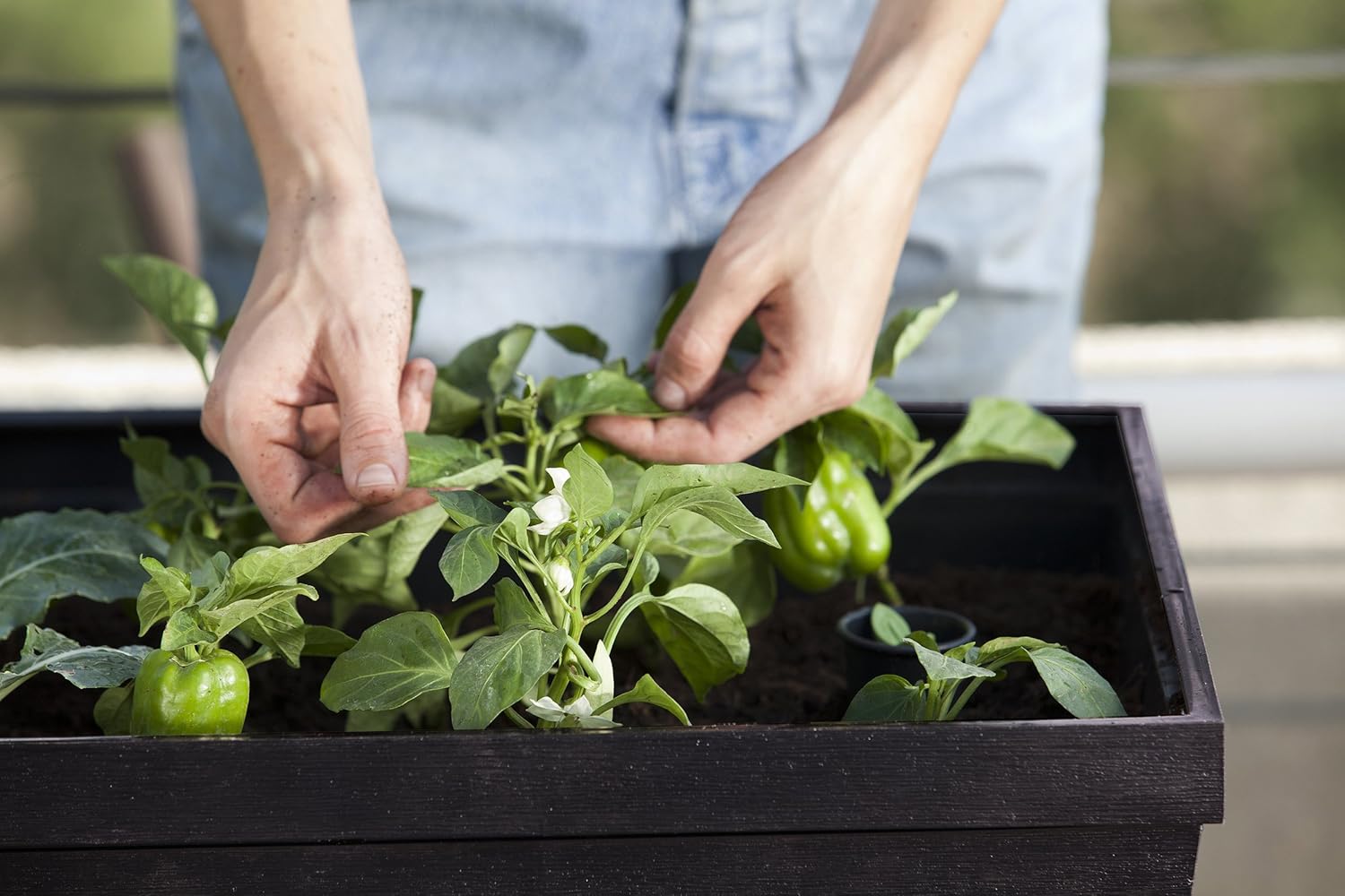 Keter 238699 Easy Grow Elevated Garden Bed Anthracite Raised Beds Patio Lawn Garden Brilliantpala Org