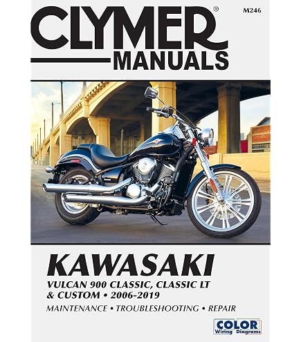 Couvercle de grille de radiateur Skull en acier inoxydable chromé et lames de protection de grille de carénage pour Kawasaki Vulcan vn900 2006-2016