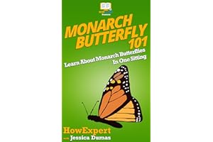 Monarch Butterfly 101: Learn About Monarch Butterflies In One Sitting