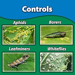 Monterey - Once A Year Insect Control II - Systemic