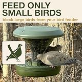 SWISSINNO Big Bird Blocker Ring for Davos Geneva Smart Bird Feeder view 3