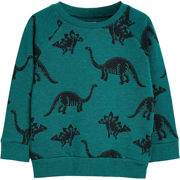 Cute Cartoon Dinosaur Pattern Print Sweatshirt Kids Boys - Temu New Zealand