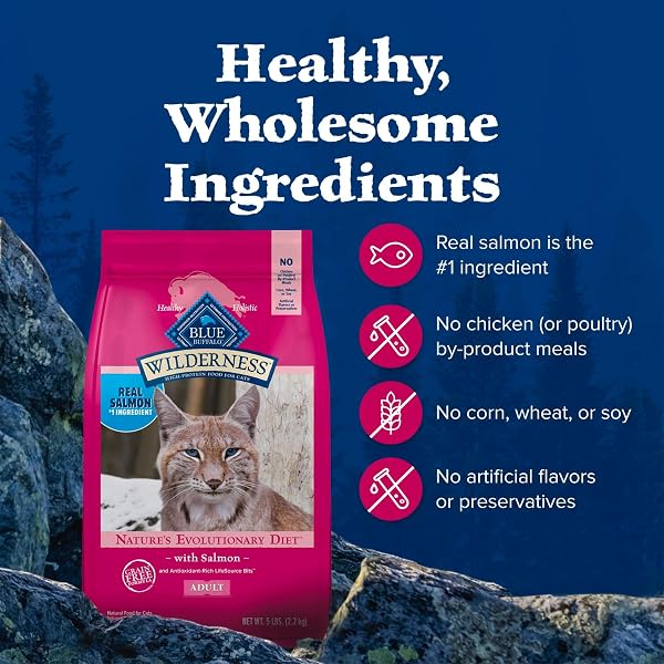 BLUE BUFFALO WILDERNESS GRAIN FREE NATURAL HIGH PROTEIN SALMON ADULT DRY CAT FOOD, 4 LBS.