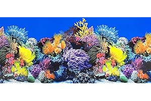 XCNO Fish Tank Background Sea Anemone Coral Theme Aquarium Background Poster Fish Backdrop for Aquarium Wallpaper Double-Sided Fish Tank Sticker Paper