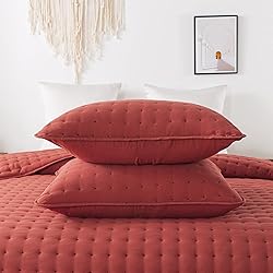WDCOZY Burnt Orange Twin Size Quilt Bedding Sets