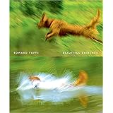 visual representation of quantitative data Beautiful Evidence