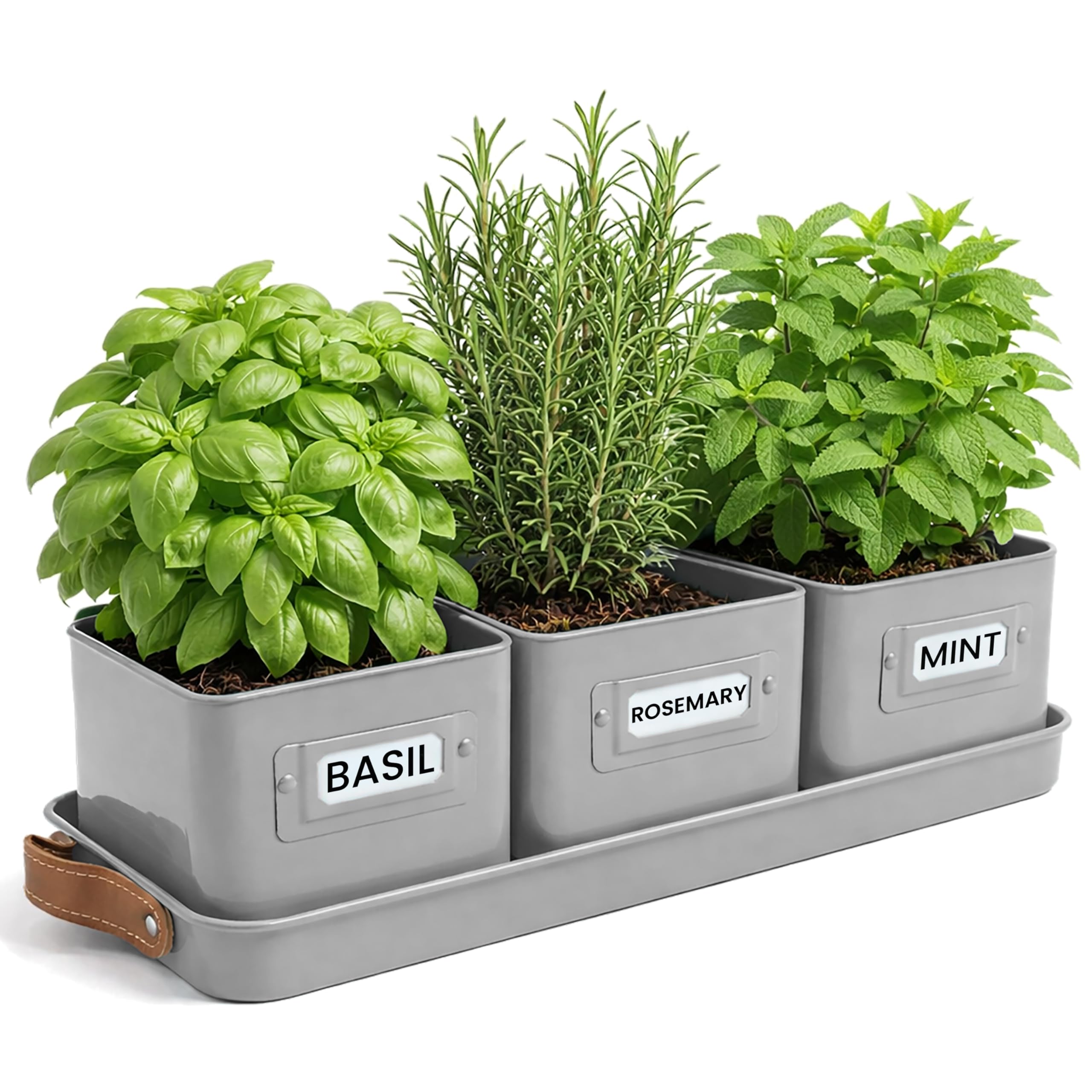 Green Thumbz Herb Pots for Kitchen Windowsill - Set of 3 Charcoal Grey Herb Planter Indoor with Leather Handled Tray - Ideal for an Indoor Herb Garden, Plants and Flowers - Labels Included