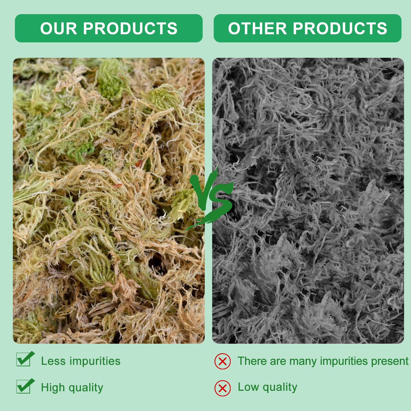 500g Sphagnum Moos, Orchideen Terrarium Blumenerde, Reptile Natürliches Sphagnum Deko, Zimmerpflanzen Feuchtigkeitsspendende Ernährung Organisches Torfmoos für Orchideen und Bonsai Reptilie (1) 4