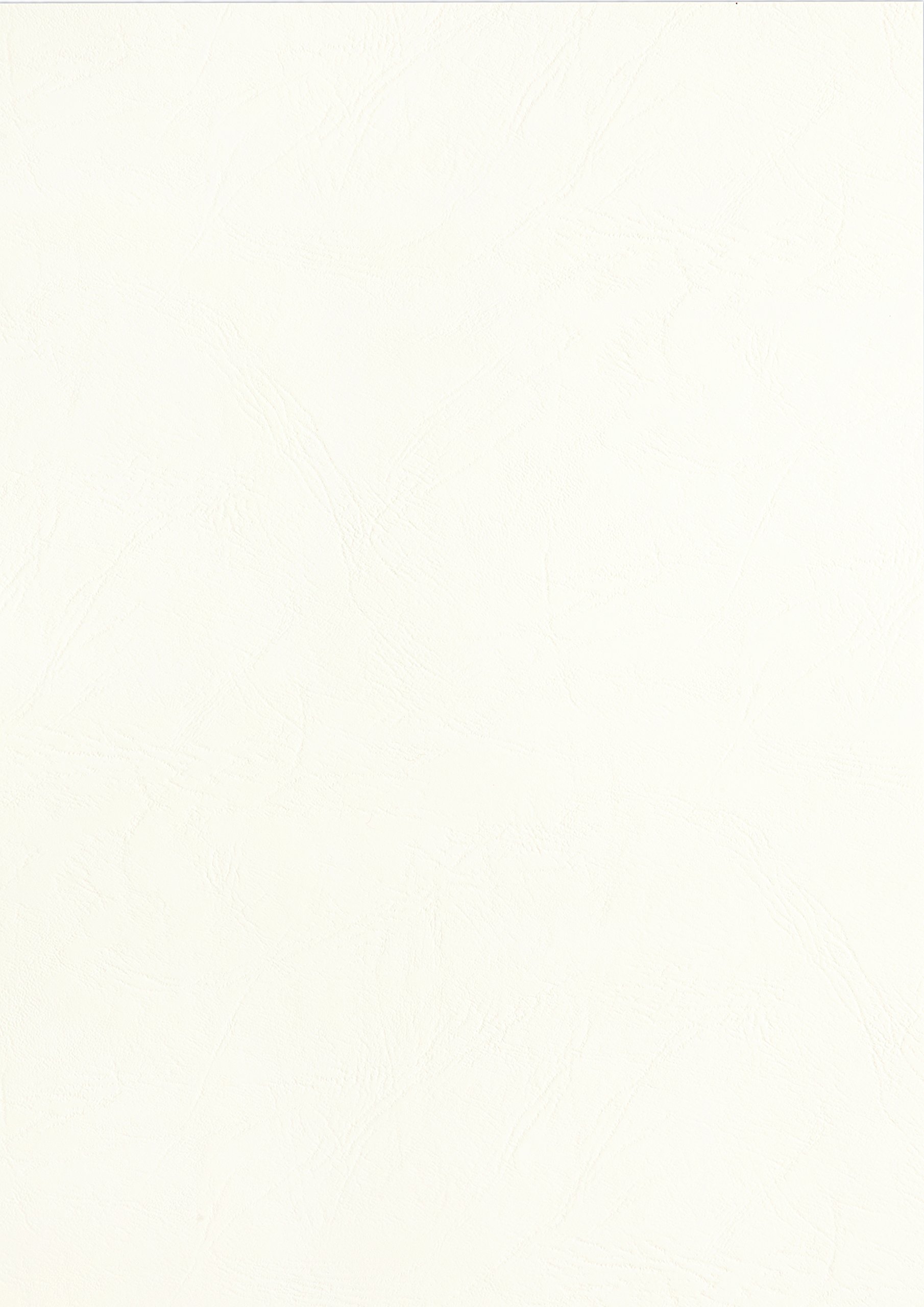 PAVO Premium A3 Leather Grain Binding Cover - White (Pack of 100) — image 1