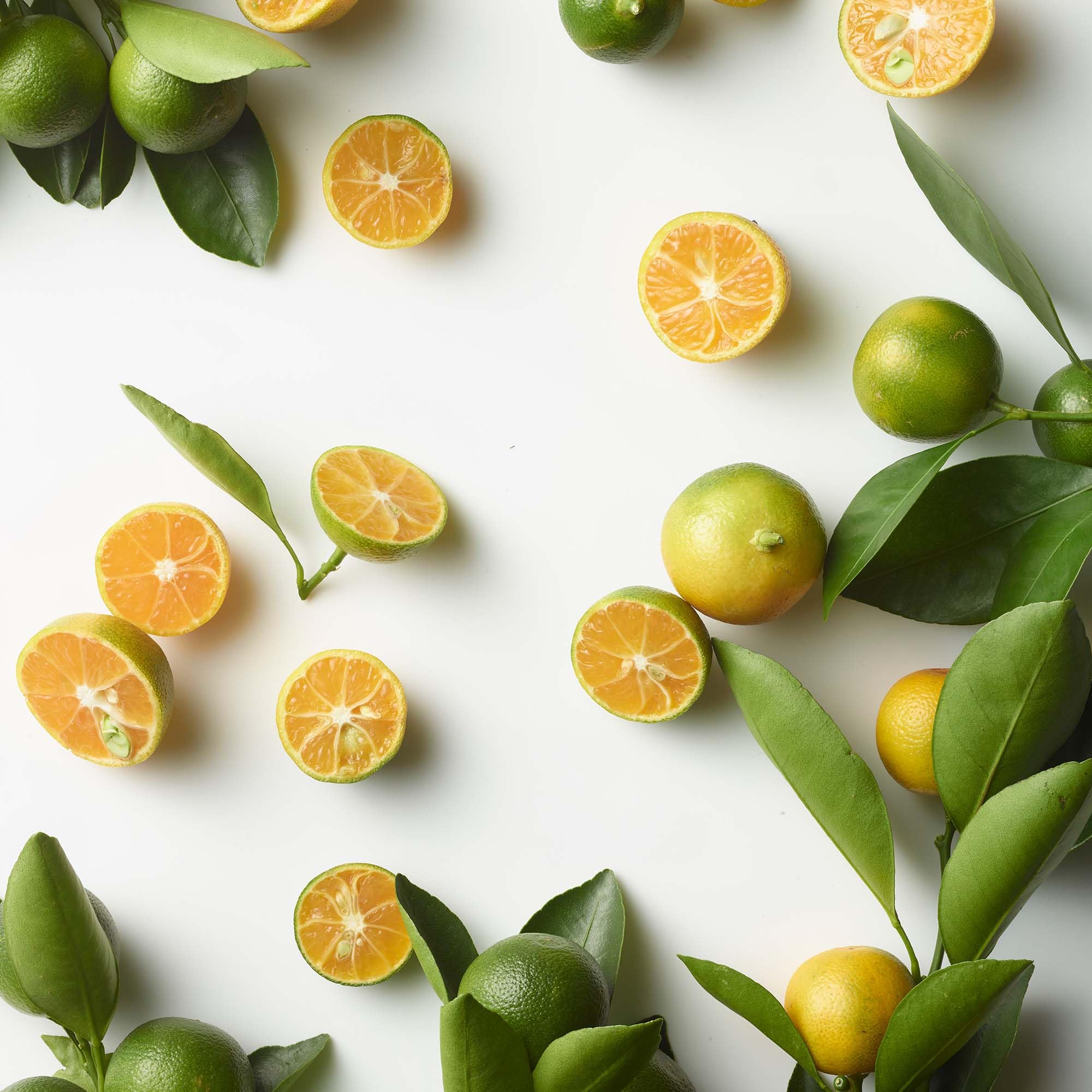 RALPH LAUREN FRAGRANCES - Polo Blue - Eau de Parfum - Men's Cologne - Aquatic & Fresh - With Citrus, Bergamot, and Vetiver - Medium Intensity