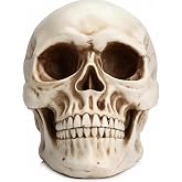 7.9 In Life Size Resin Skull Statue - Realistic Skeleton Head for Halloween | High-density resin | Durable & lightweight | Indoor & outdoor use | Haunted house, party & gothic home decor | Ideal gift