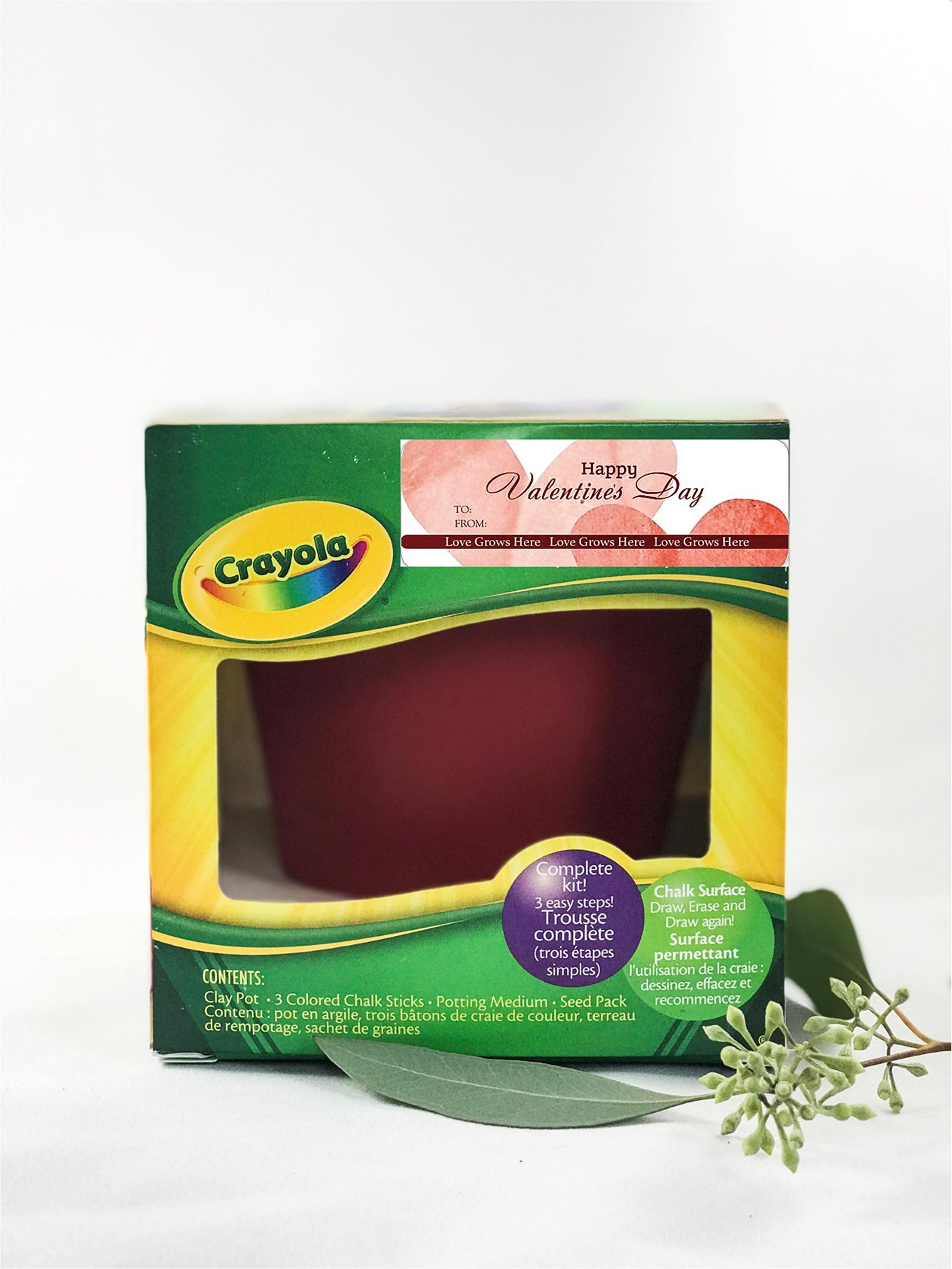 Triumph Plant 50134 Chalkboard Seed Starting Kit